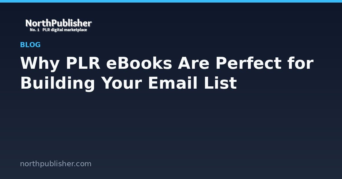 Turn a PLR eBook Into a Useful Lead Magnet Workflow