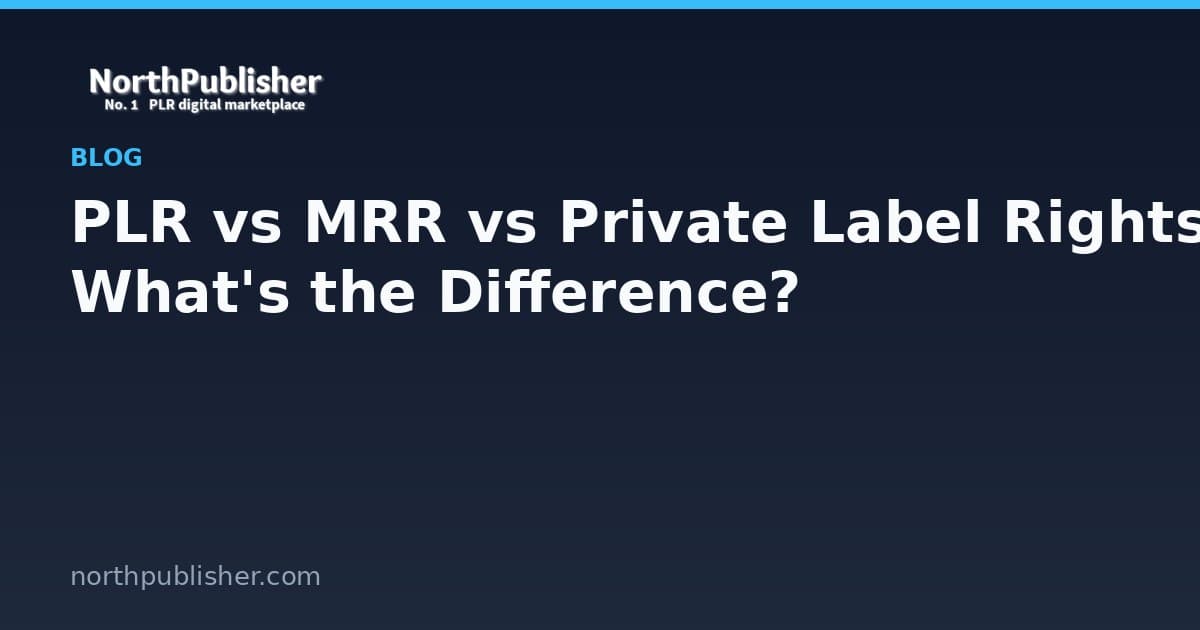 The PLR Licence Audit: Questions to Ask Before You Buy