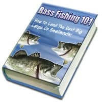 Bass Fishing 101
