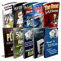 PLR Niche & Profits Reports