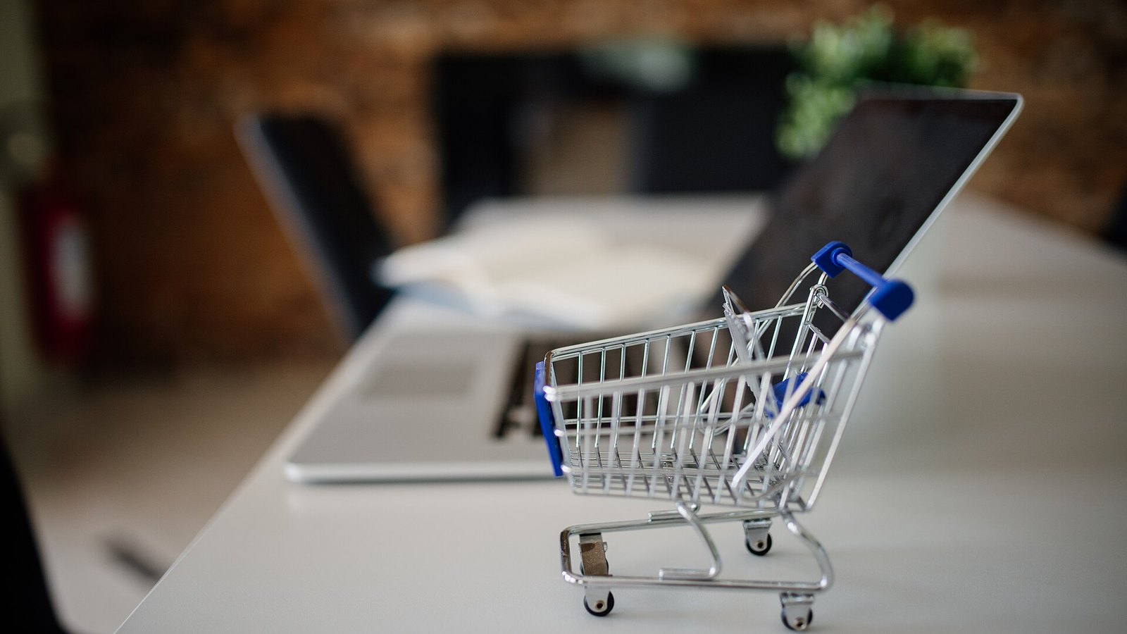 Reselling PLR Products: Build Your First Digital Income Stream