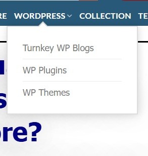Navigation menu