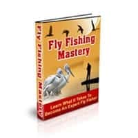 Fly Fishing Mastery 1