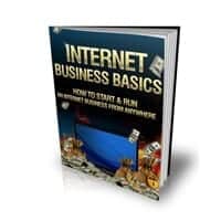 Internet Business Basics 2