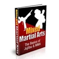 Mixed Martial Arts 2
