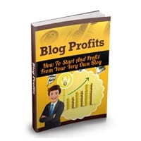 Blog Profits Guide 2