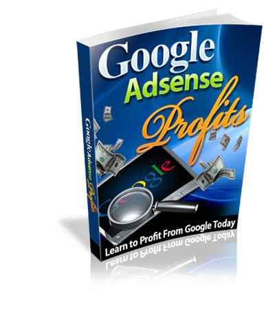 google-adsense-profit-2.jpg