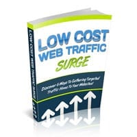 Low Cost Web Traffic Surge 2