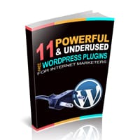 11 Powerful Wordpress Plugins For Internet Marketers 1