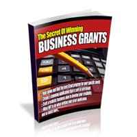 The Secrets Of Winning Business Grants 1