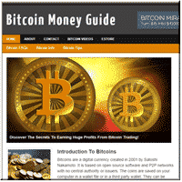 Bitcoin Niche PLR Blog 1