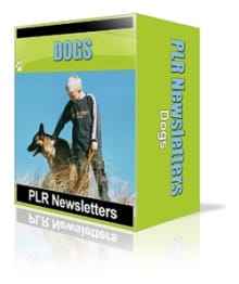 Dogs Niche Newsletters