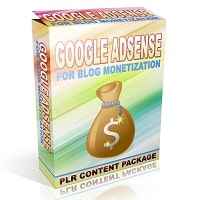 Google Adsense for Blog Monetization