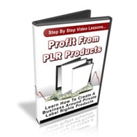 Profit From PLR Products