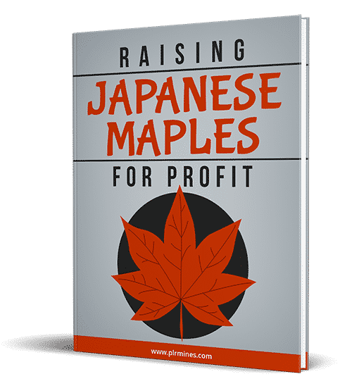 Japanese Maples For Profit