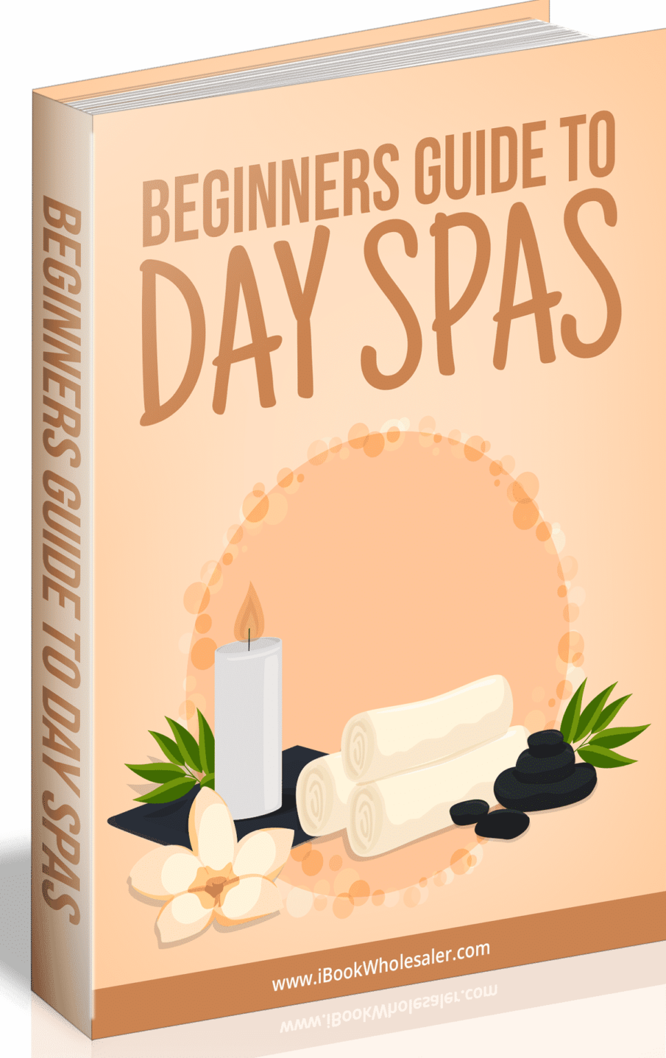 Beginners Guide To Day Spas Download Plr Ebook
