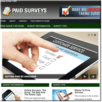 Paid Surveys Online PLR Blog