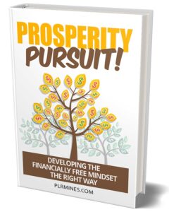 prosperity pursuit