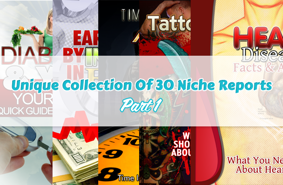 Unique Collection Of 30 Niche Reports Part 1