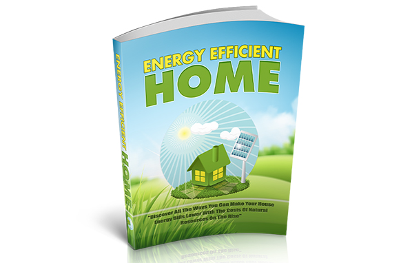 Energy Efficient Home