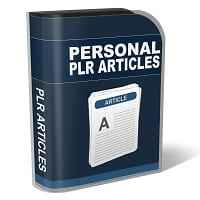 10 Disney World for Adults PLR Articles
