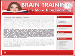 12 Niche Website Kit – 12 pre-built niche websites with PLR resell rights