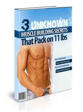 3 unknown muscle building secrets digital download PLR MRR resell rights guide