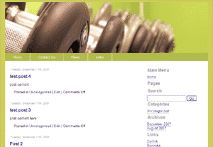 5 website themes vol2 – HTML Joomla WordPress business health travel sport PLR MRR download