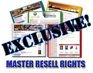 85 Exclusive Niche Sites Vol2 - Digital PLR Pack with Adsense Earning Tools