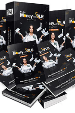 Make Money With PLR Blueprint