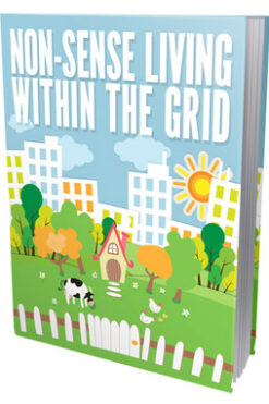 Non-Sense Living Within The Grid
