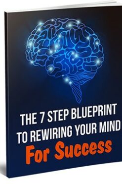 The 7 Step Blueprint To Rewiring Your Mind For Success