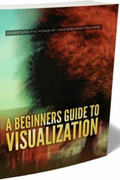 A Beginners Guide To Visualization