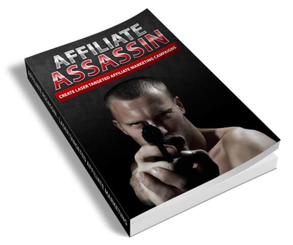 Affiliate marketing ebook with PLR/MRR rights showing strategies for quick online income and campaigns