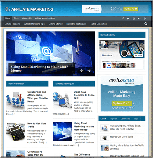 Display of ready-made niche blog with PLR rights, featuring affiliate marketing and WordPress setup dashboard