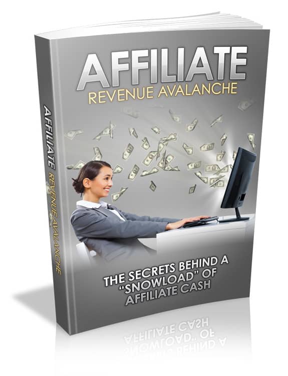 Ebook cover showing affiliate marketing strategies with PLR and MRR resell rights for digital product businesses