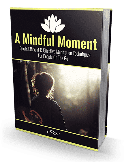 Mindfulness meditation ebook cover with calm design, stress relief techniques for beginners