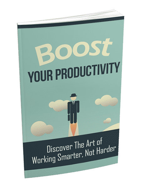 Productivity PLR ebook with resell rights digital download cover image
