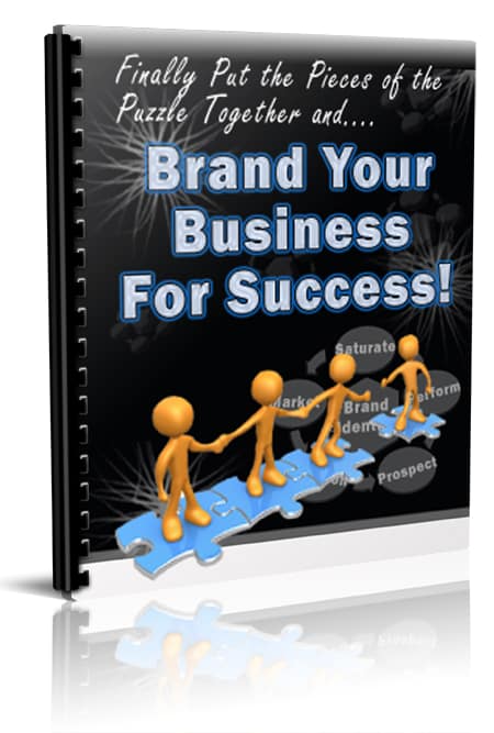 Brand Your Business For Success newsletter PLR branding techniques digital download with resell rights
