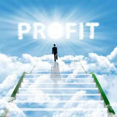 IOVC strategy and technology guide for building profitable internet business with PLR MRR resell rights