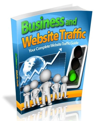 Digital PLR guide for business website traffic strategies with resell rights