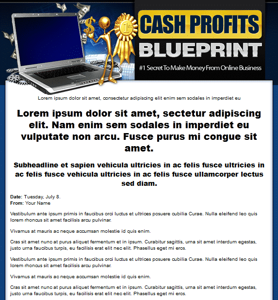 Cash Profits Blueprint Template digital download with PLR resell rights