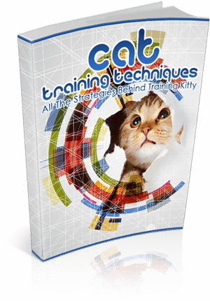 Cat training techniques ebook with PLR resell rights for feline behavior modification