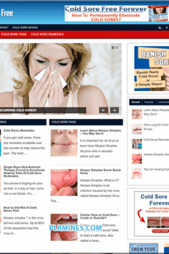Cold Sores Niche PLR Website