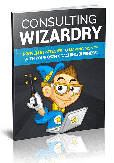Consultingwiz PLR coaching business blueprint with resell rights – digital download