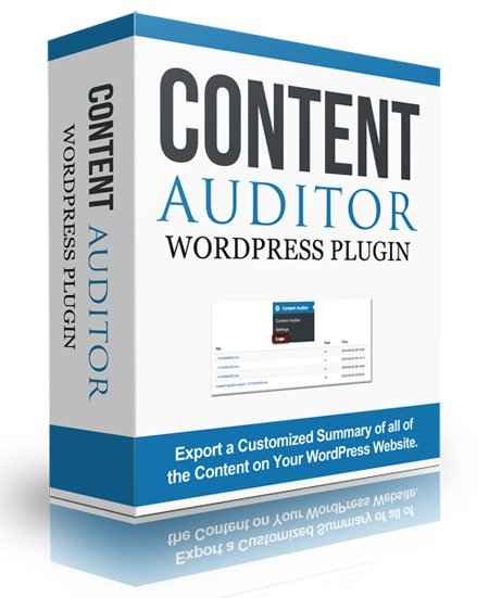 Content Auditor WordPress plugin dashboard showing data export features and PLR rights