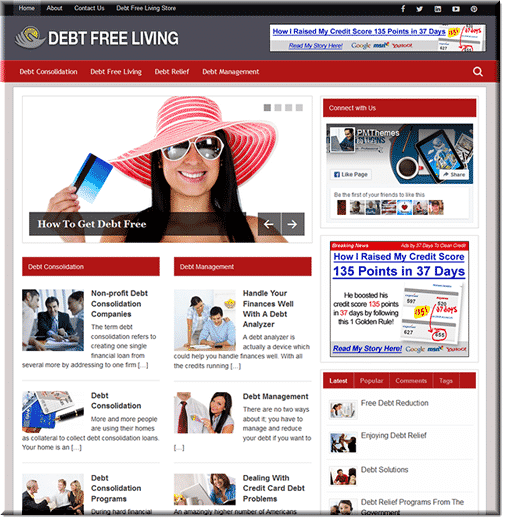 Debt Free PLR Blog mockup with graphics and content ready for resell