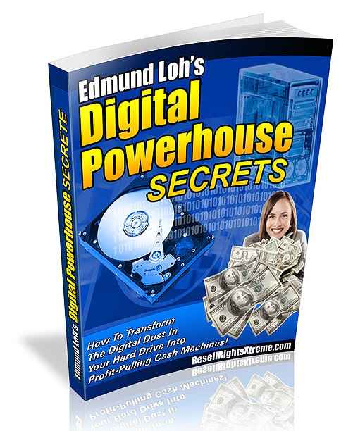 Digital Product Creation Strategies ebook with PLR and MRR resell rights for multiple income streams