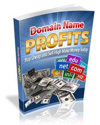 Domain Name Profits ebook PLR digital download with domain flipping strategies and resell rights