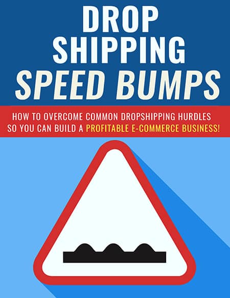 Dropshipping PLR report – digital download with resell rights for ecommerce success